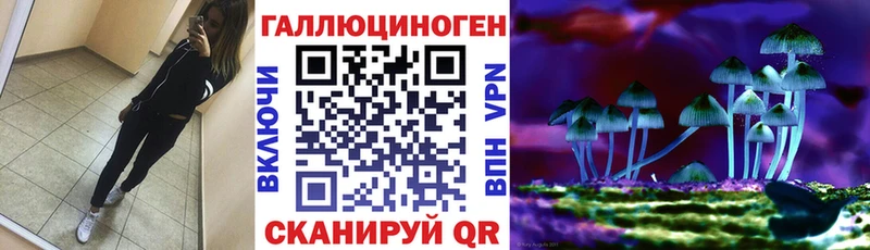 Псилоцибиновые грибы Psilocybine cubensis  Купить где  Шумиха 